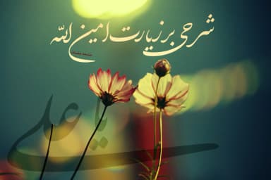 دیدار با انسانیت
