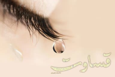 قساوت